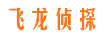 富川市调查公司